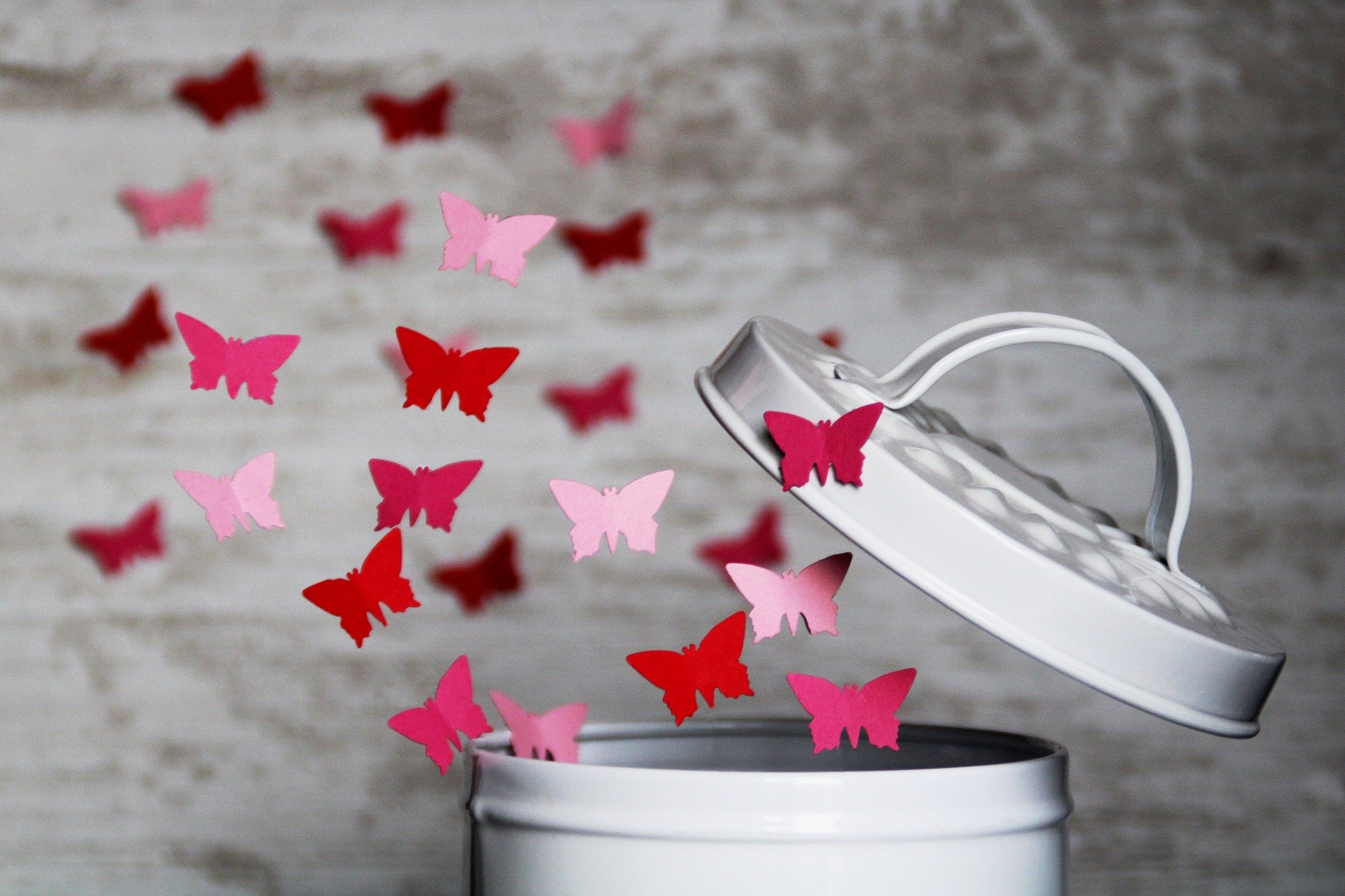 Schmetterlinge (c) Bild von Kranich17 auf Pixabay